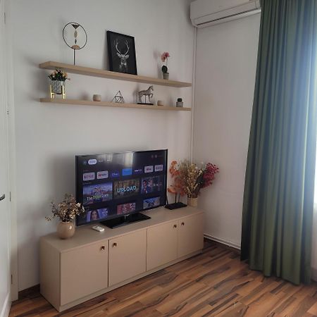 B8 - Spacious, Charming Apartment In Central Sibiu Exterior photo