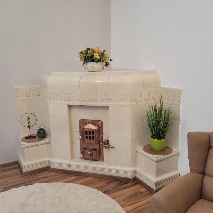 B8 - Spacious, Charming Apartment In Central Sibiu Exterior photo